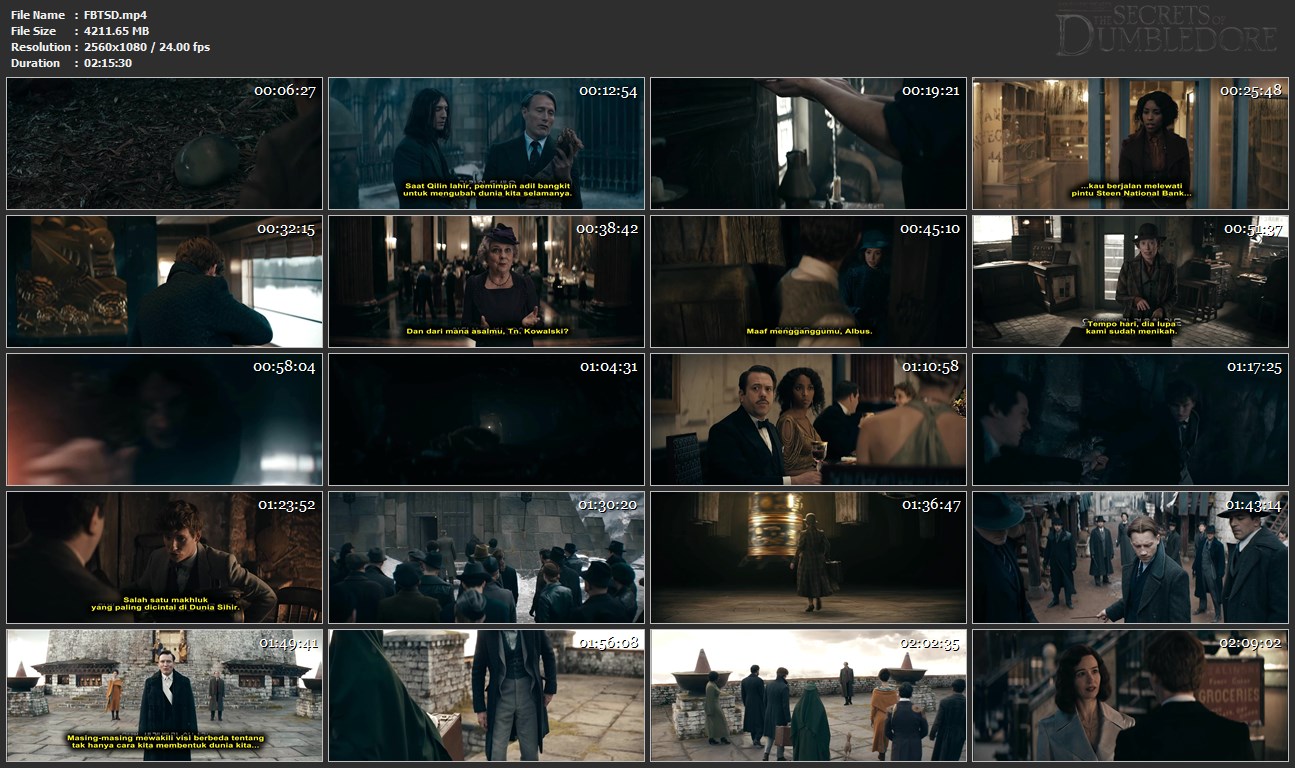 Fantastic Beasts: The Secrets of Dumbledore Fantastic Beasts: The Secrets of Dumbledore